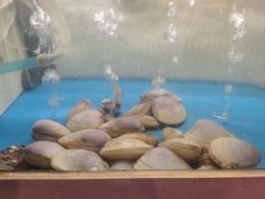 -质烤烤物·活烤海鲜(质烤总店)