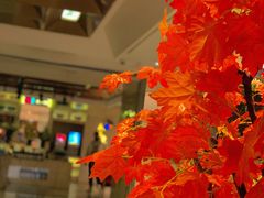 -永远爱烤肉火锅自助(龙德广场店)