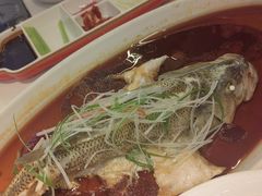 -大鸭梨(天通西苑店)