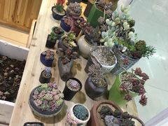 -无锡文化工艺品市场(槐古路店)