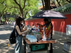 -北京国子监胡同