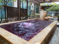 -春晖园度假酒店温泉