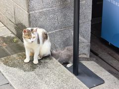 -思南书局(复兴中路店)