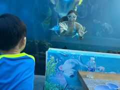 -涛·海底餐厅·美人鱼·自助餐·海底隧道(三亚海棠湾洲际度假酒店)