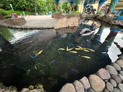-珠海长隆海洋王国