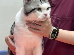 -瑞鹏·疫苗·绝育·宠物医院(金沙洲店)