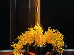 -觀芷隐轩