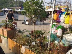 -中环花鸟鱼虫市场