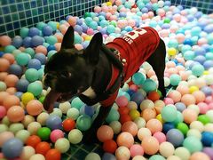 -太阳岛度假酒店