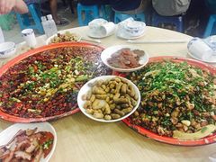 -东吴霸王兔(松青路店)