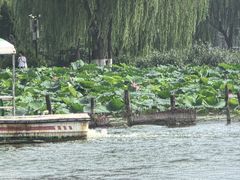 -济南大明湖景区