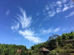 -沐川竹海旅游景区