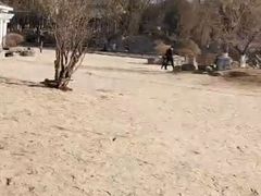 -济南国际园博园