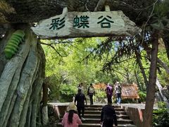 -天目湖山水园