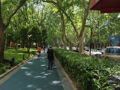 -徐家汇源景区-衡山公园