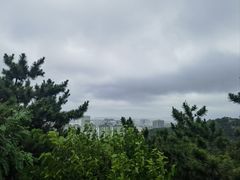 -北岭山森林公园