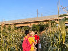 -光明小镇欢乐田园