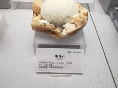-湖南省地质博物馆