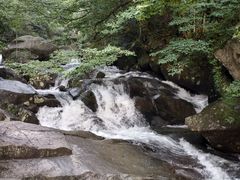 -大围山国家森林公园