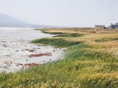 -盐湖景区