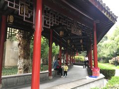 -常州古运河南大街文化旅游区-人民公园