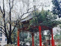 -复旦大学附属中山医院(西院区)