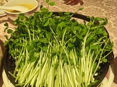 -囍凤楼·粤菜·点心·火锅(温特莱店)
