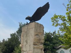 -北京鹫峰国家森林公园