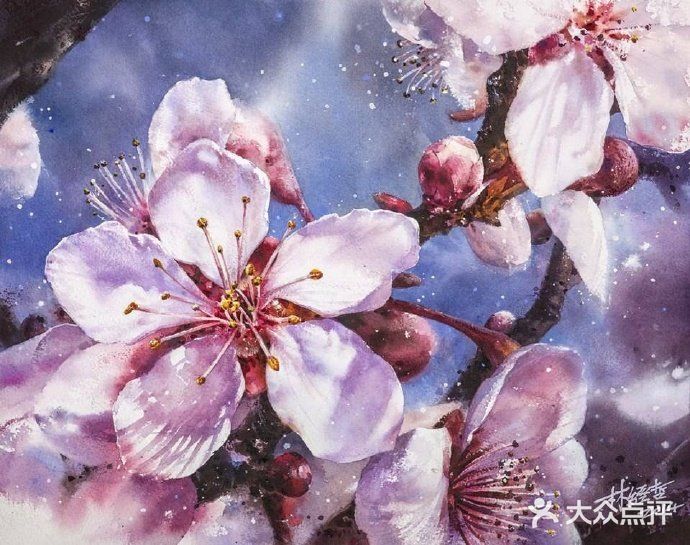 台湾画家林经哲樱花水彩画作品欣赏[礼花][礼花]