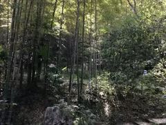 -南山风景名胜区