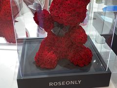 -ROSEONLY诺誓(广州K11店)