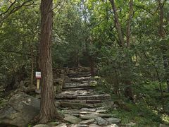 -北京鹫峰国家森林公园