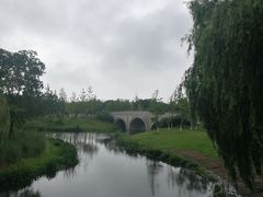 -贡湖湾湿地公园