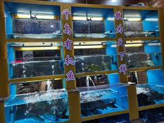 水产区-淳安二十八道·美食汇·淳鱼馆(阳光路店)