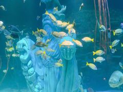 -沈阳海洋探索中心