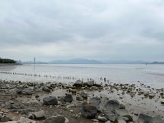 -深圳湾公园(南山区)