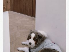 -漫慢里艺术体验馆·绘画调香手工DIY