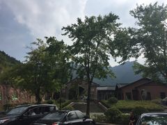 -千岛湖石林