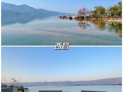-婺源风景区