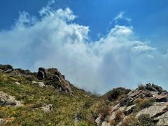 -白草畔自然风景区