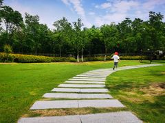 -上海长兴岛郊野公园