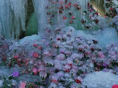 -洛阳白云山景区