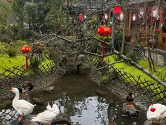 -青城甲(青城山店)