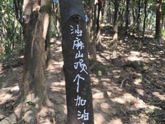 -黄埔油麻山森林公园
