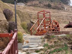 -紫鹊界梯田景区