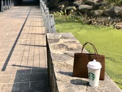 -宝界山林公园
