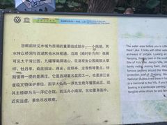 -西湖外事游船(花港观鱼码头)