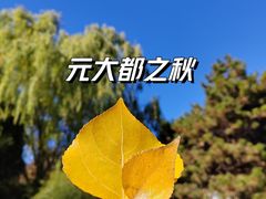 -元大都城垣遗址公园