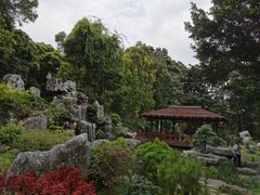 -东莞植物园