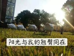 -中国计量大学(西校区)